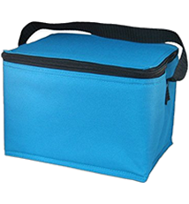 EasyLunchboxes Insulated Lunch Box Cooler Bag, Aqua