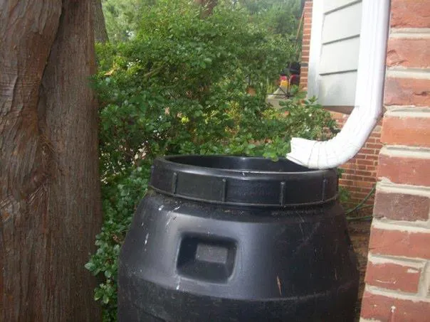 Rain barrel