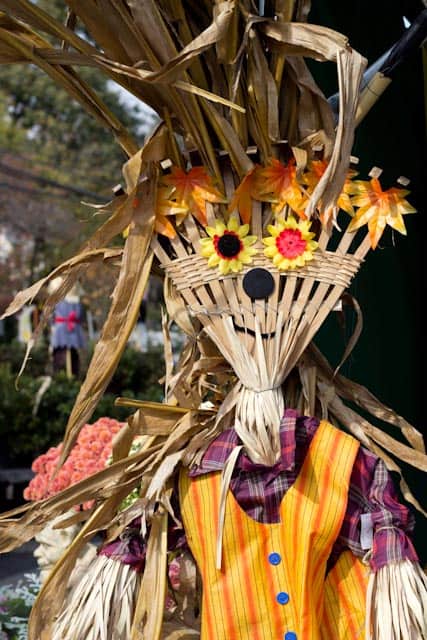 Halloween rake scarecrow