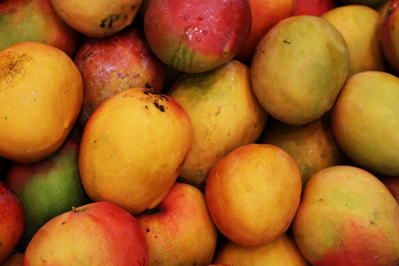 Tommy Atkins Mangoes