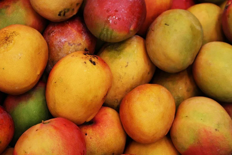 Tommy Atkins Mangoes