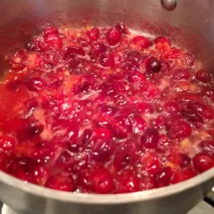 Cranberry Orange Ginger Sauce