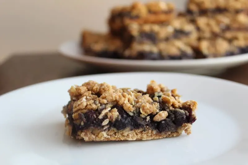 Wild Blueberry Oat Bars