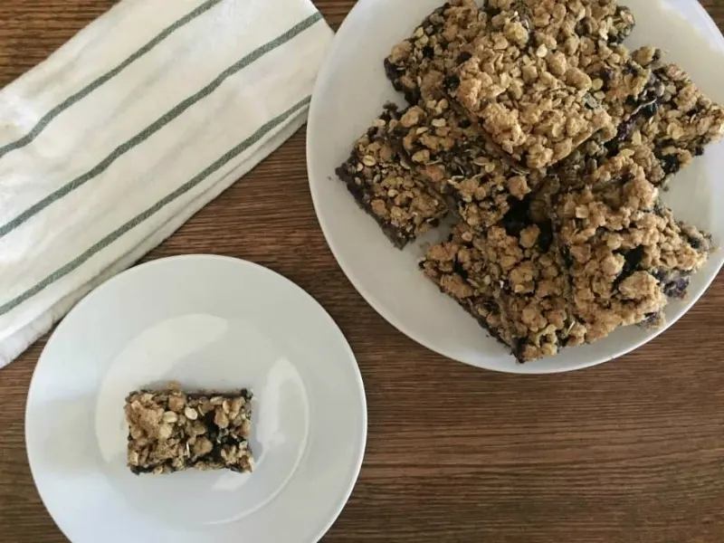 Wild Blueberry Oat Bars