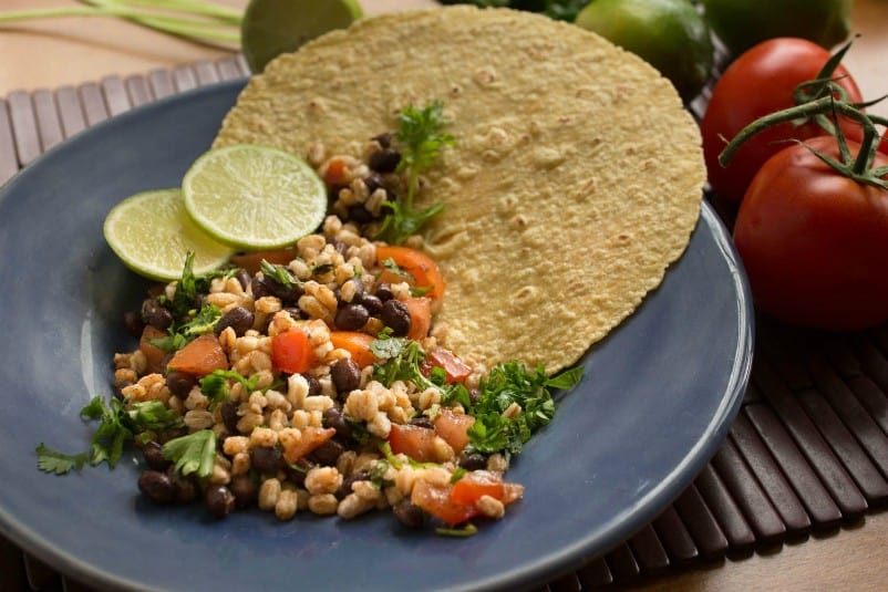 Farro Mexicano-6311 Farro Mexicano