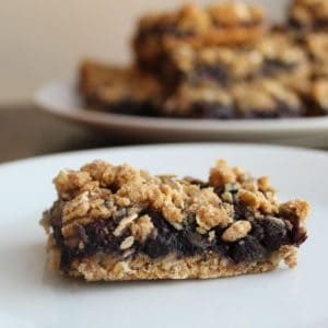 Wild Blueberry Breakfast Bars