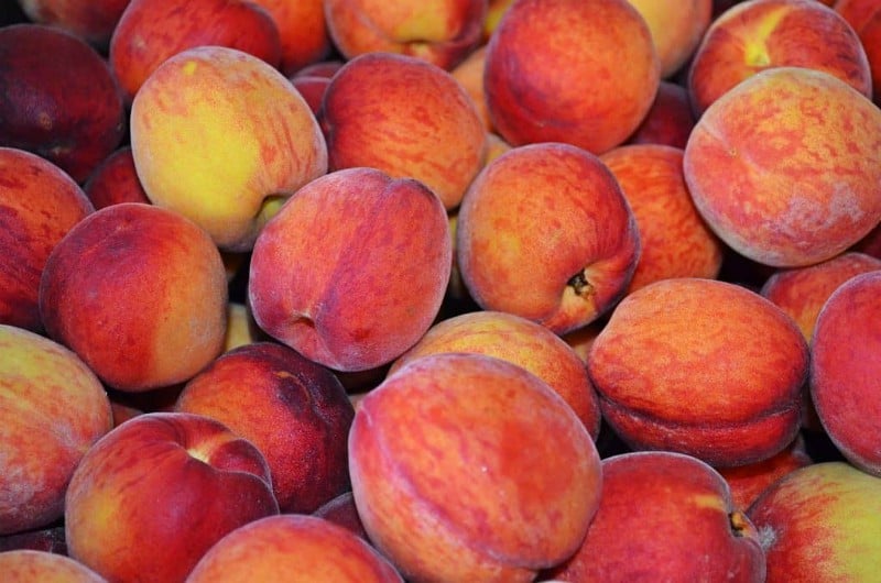 Peach Recipes to Help to Savor Summer