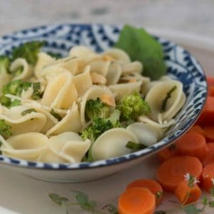 Orecchiette and Broccoli with Lemon Butter Sauce