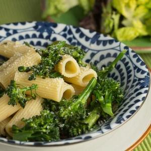 Rigatoni with Roasted Garlic and Broccolini