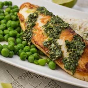 Tortuguero Tilapia with Cilantro-Lime Sauce