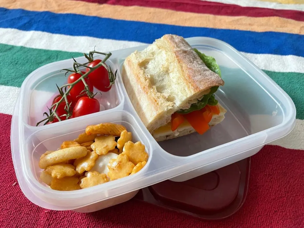 picnic lunch in bento box: how to pack for a picnic