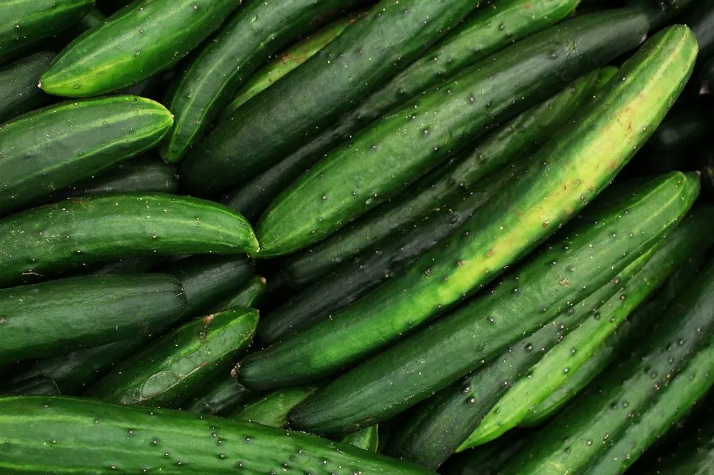 English Cucumbers