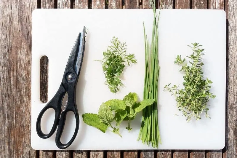 chopping herbs