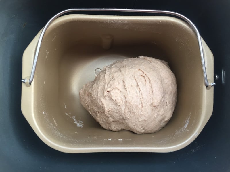 kneaded bagel dough