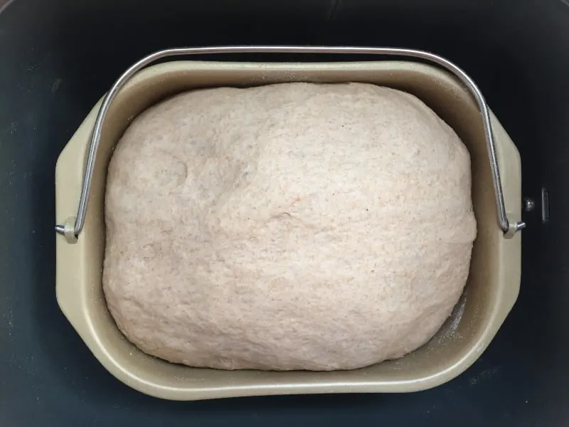 risen bagel dough