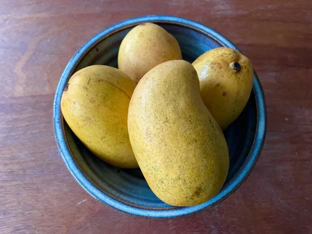 mangoes in a bowl