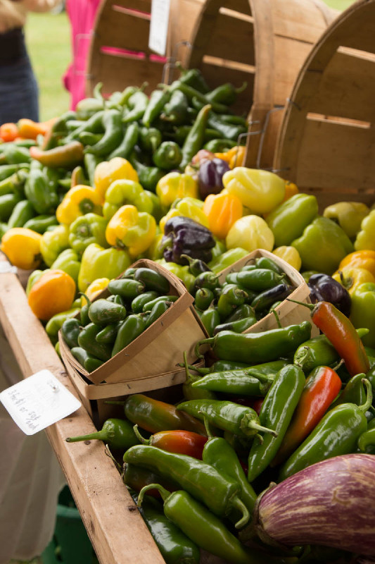 explore farmer's market produce: how to take advantage of summer produce