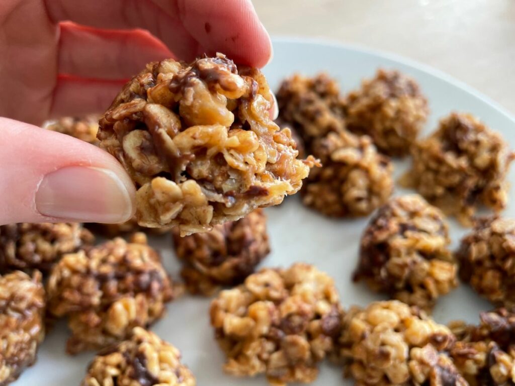 crispy honey-peanut oat bites