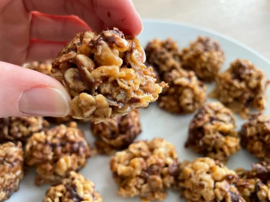 crispy honey-peanut oat bites