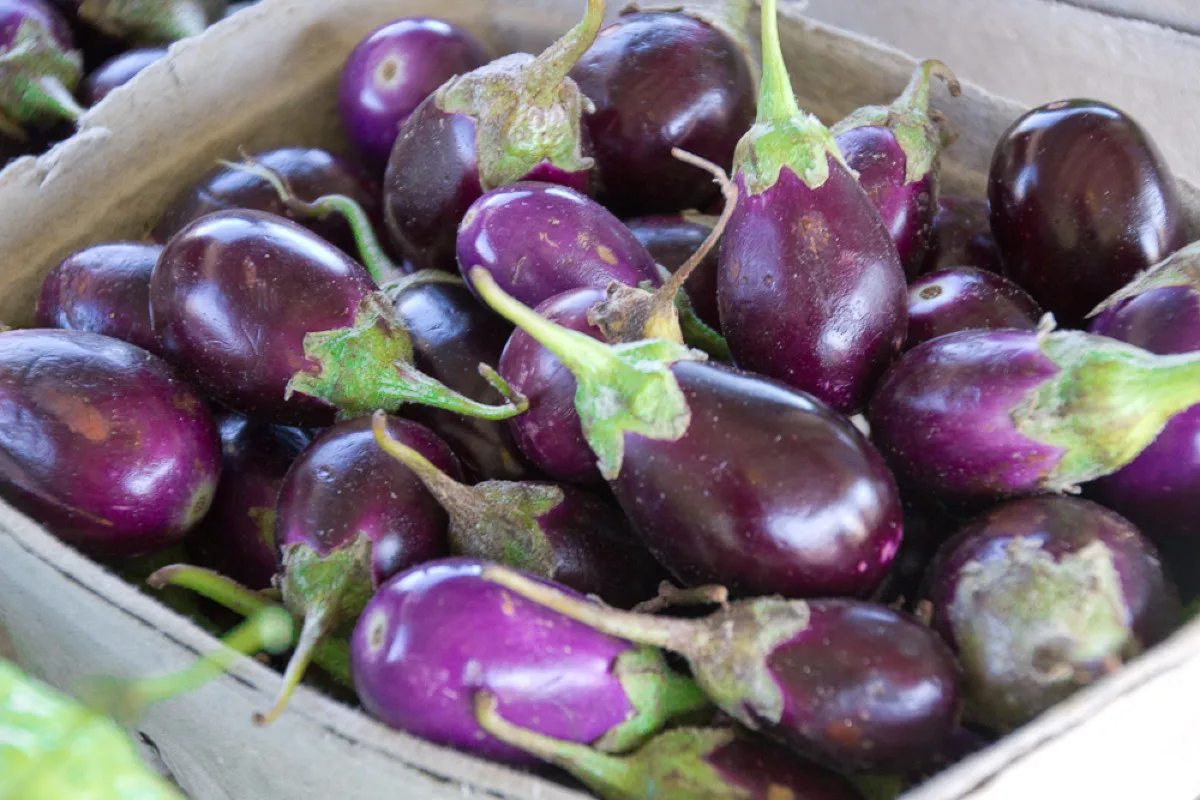 how to make your trip to farmer's market a success: baby eggplants