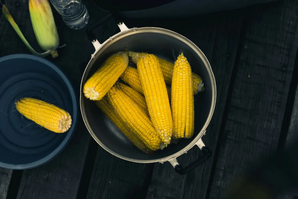 How to cook corn on the cob: boiling