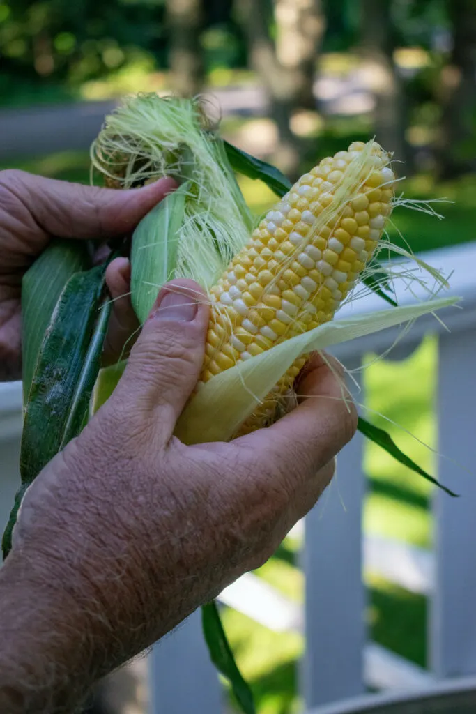 how to shuck corn