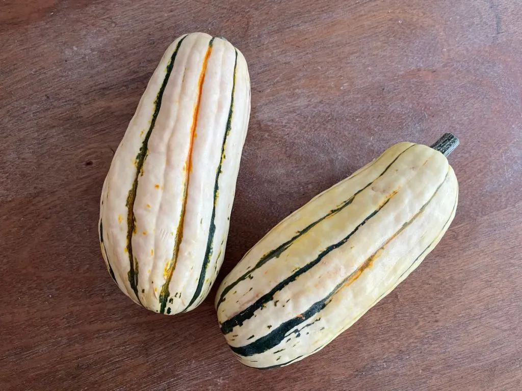 delicata squash